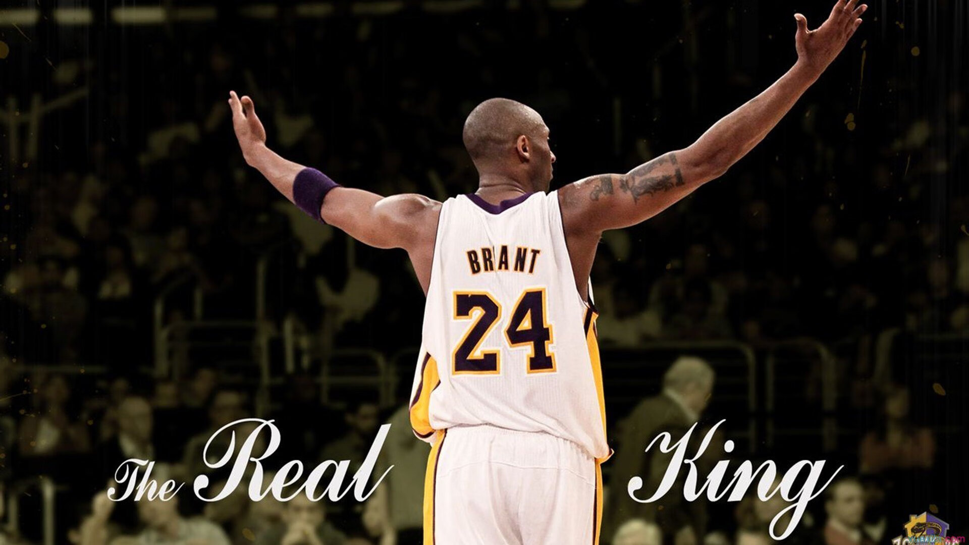 新星对决：未来之星的精彩表现，未来之星后一句